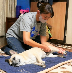 愛するパートナーに癒しのお返しを